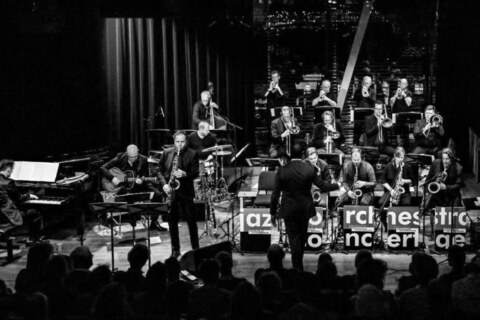 Image Not Found On Media Library