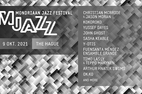 Image Not Found On Media Library