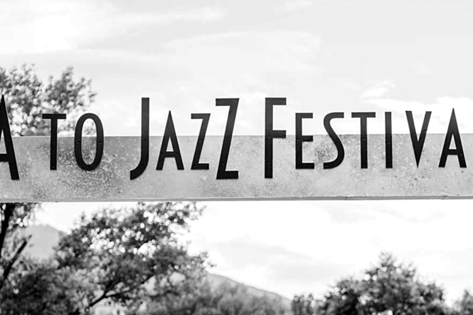 Image Not Found On Media Library