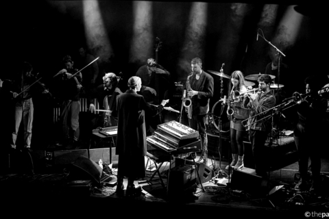 Image Not Found On Media Library