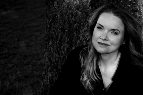 Image Not Found On Media Library