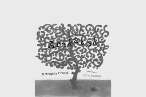 Image Not Found On Media Library