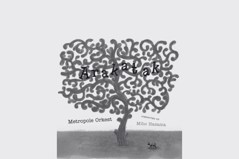 Image Not Found On Media Library